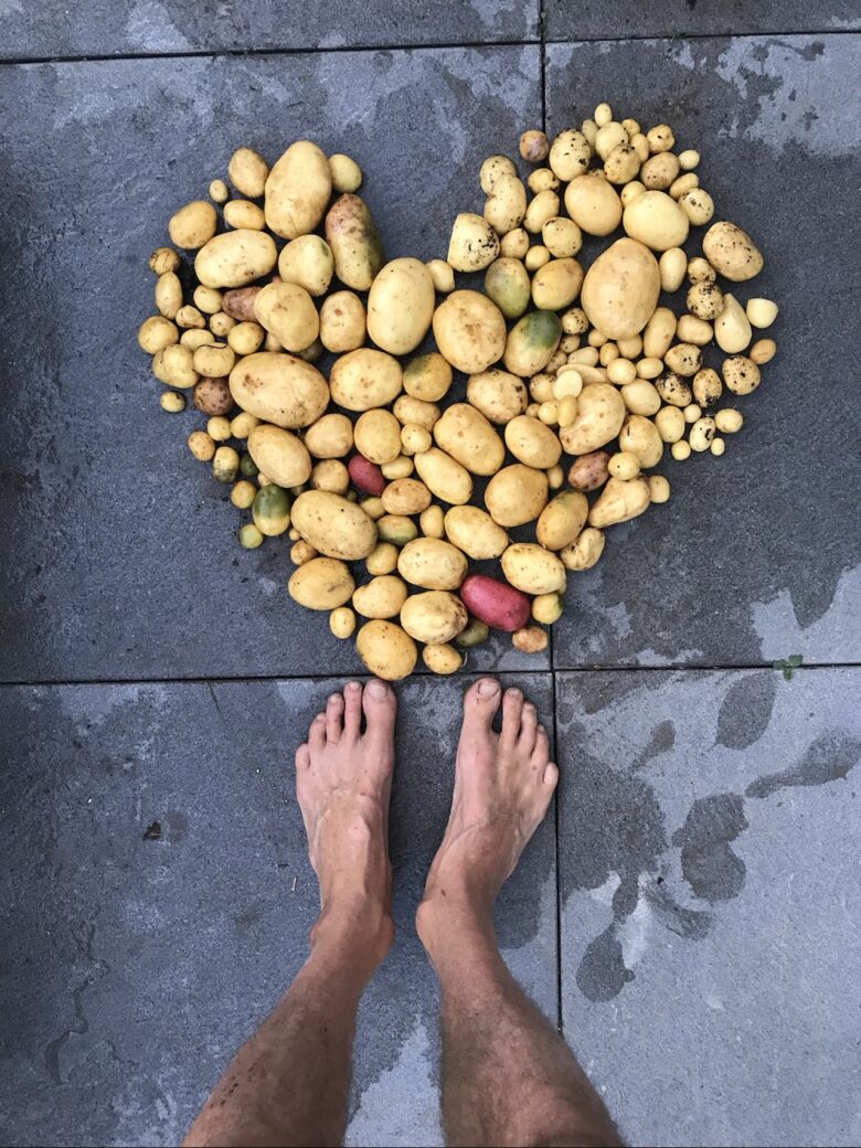 Verschiedene frisch geerntete Kartoffeln liegen herzförmig auf dem nassen Bürgersteig, und am unteren Rand des Bildes sind die nackten, schmutzigen Füße einer Person zu sehen.
