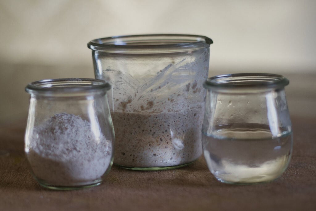 Drei kleine Gläser werden auf eine Fläche gestellt: Eines enthält Mehl, ein anderes einen aktiven Sauerteigstarter und das dritte ist mit Wasser gefüllt. Die Gläser sind durchsichtig und haben keine Etiketten.