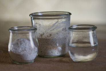Drei kleine Gläser werden auf eine Fläche gestellt: Eines enthält Mehl, ein anderes einen aktiven Sauerteigstarter und das dritte ist mit Wasser gefüllt. Die Gläser sind durchsichtig und haben keine Etiketten.