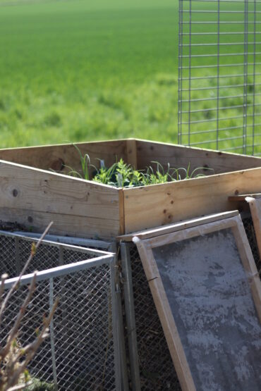 A raised wooden garden bed filled with green plants, surrounded by wire fencing and wooden frames, stands in front of a blurred green field.