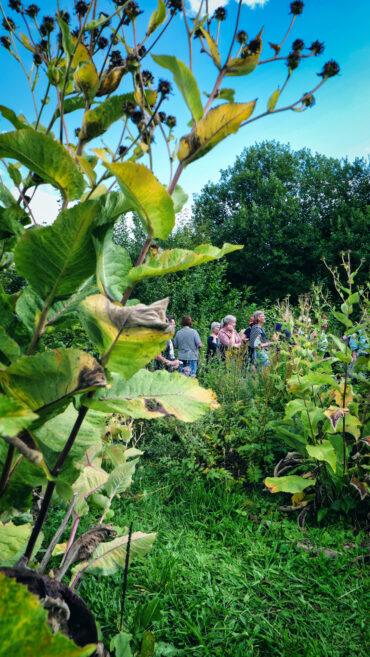 A group of people stand together in a lush, green garden surrounded by tall plants and foliage, with a bright blue sky and trees in the background.
