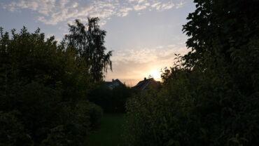 A backyard garden with dense green bushes and trees, leading to houses in the background. The sun is setting, casting a warm glow and creating a silhouette effect on the trees and rooftops under a partly cloudy sky.
