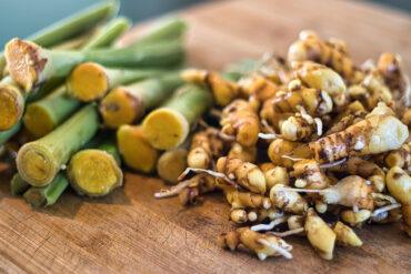 Fresh turmeric roots and galangal root are sliced and piled on a wooden cutting board. The turmeric is bright orange inside, while the galangal has a pale, knobby appearance with some roots still attached.